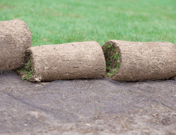 sod harvest