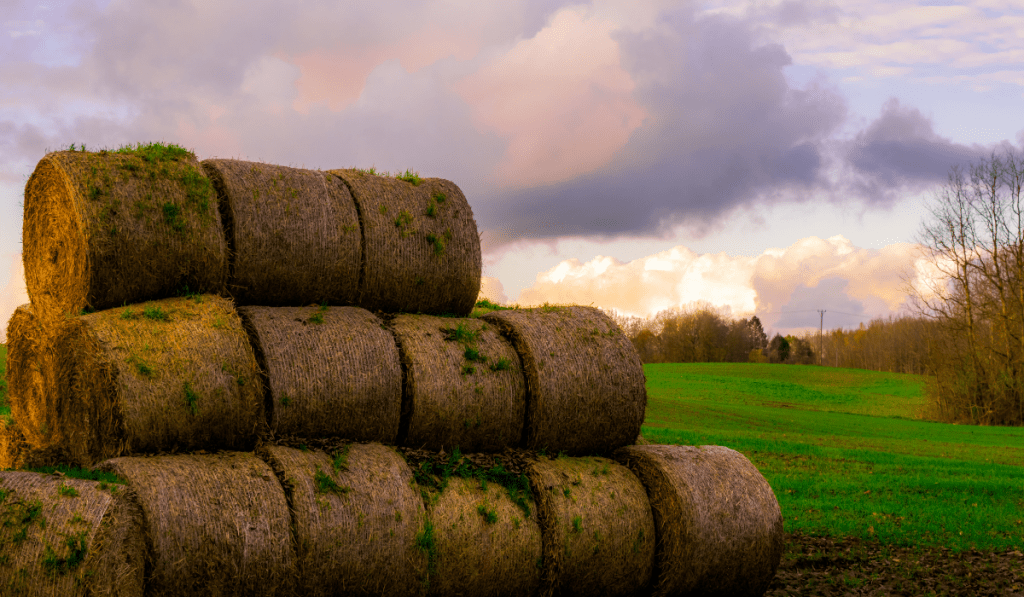 stack of rolled sod