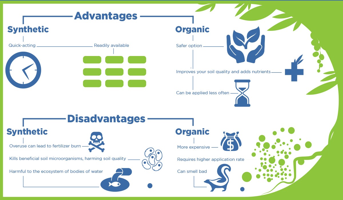 organic fertilizer infographic