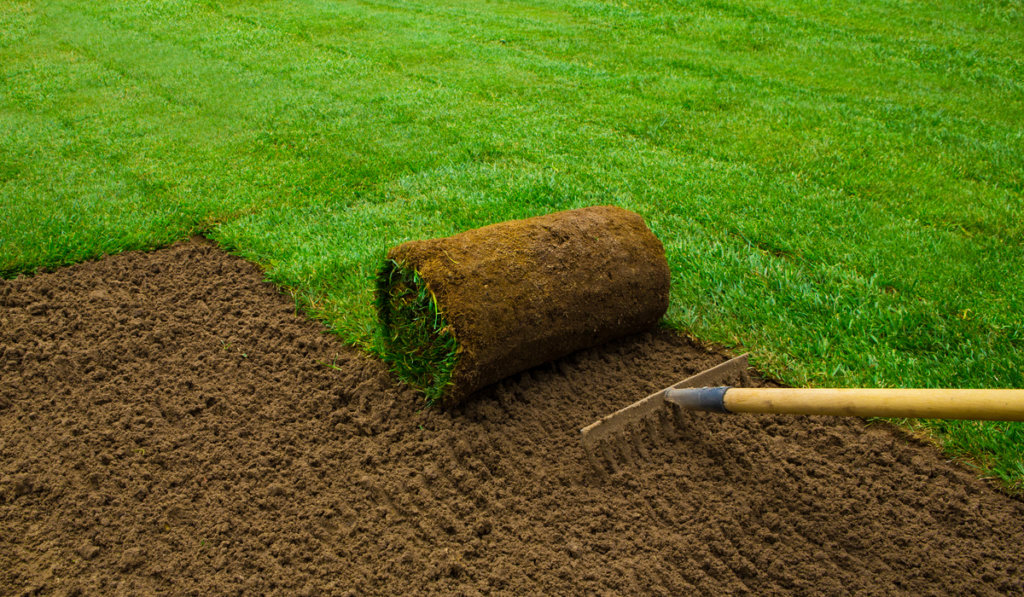 laying sod with rake