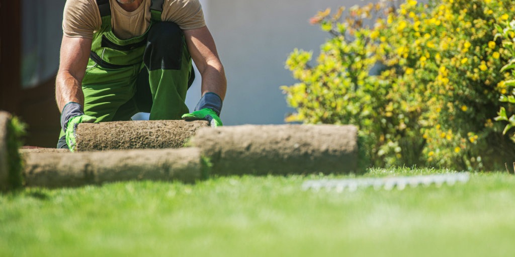 sod installation