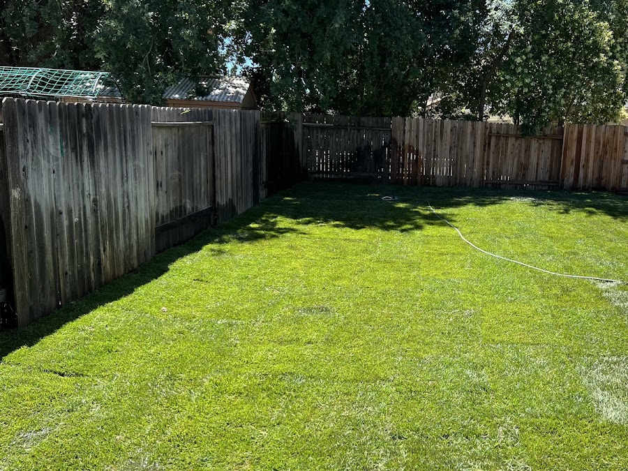 Alejandro Llanos's lawn installation review