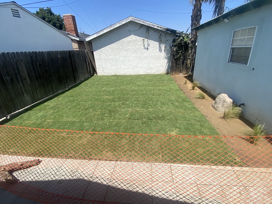 Dan Ban's lawn installation review